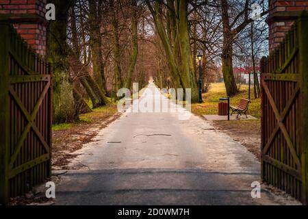 Offenes Holztor auf Eichen- und Lindenallee mit alten beleuchteten Straßenlampen. Straße zum Henryk Sienkiewicz National Museum in Oblegorek, Polen Stockfoto