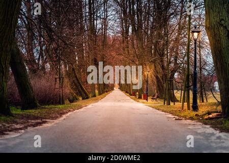 Moody Eiche und Lindenallee mit Vintage beleuchteten Straßenlampen. Straße zum Henryk Sienkiewicz National Museum in Oblegorek, Polen Stockfoto
