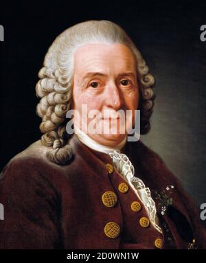 Carl Linnaeus. Porträt des schwedischen Botanikers und Zooologen Carl Linnaeus (1707-1778) von Alexander Roslin (1718–1793), Öl auf Leinwand, 1775. Nationalmuseum (Stockholm) Stockfoto