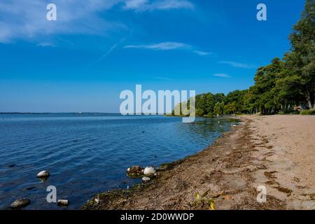 Ein Sandstrand an einem schönen See. Blauer Himmel und Wasser im Hintergrund. Bild von Ringsjon im Malmö in Südschweden Stockfoto