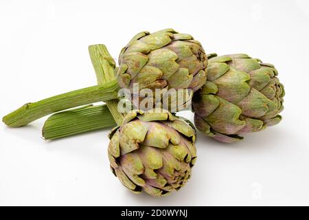 Drei organische und frische Artischocken mit einem Stück Stiel auf einer weißen Oberfläche. Stockfoto