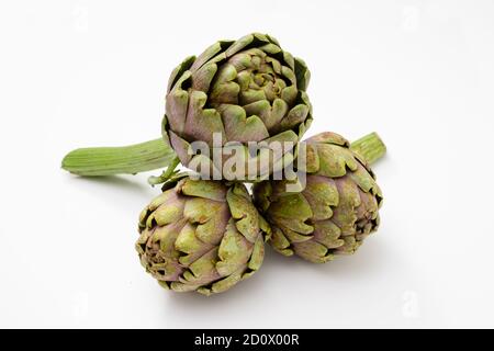 Drei organische und frische Artischocken mit einem Stück Stiel auf einer weißen Oberfläche. Stockfoto