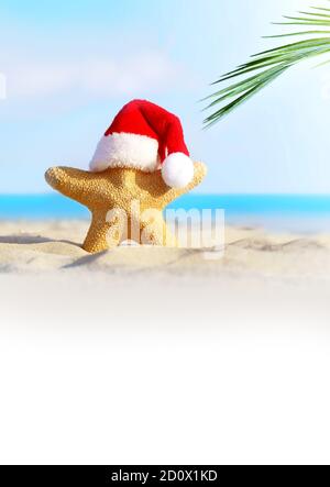 Sommerstrand. Frohe Weihnachten. Seesterne im Weihnachtsmannhut Stockfoto