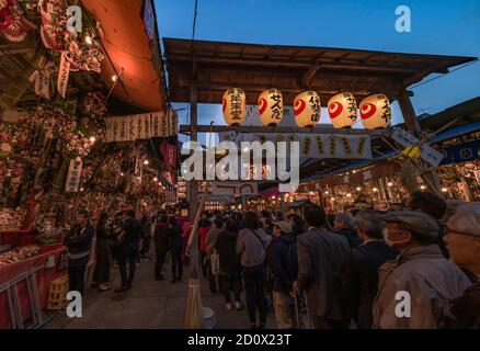 asakusa, japan - november 08 2019: Massen agglutinierten am Tor des Ootori-Schreins, geschmückt mit Papierlaternen, um verheißungsvolle Bambusrechen zu kaufen Stockfoto