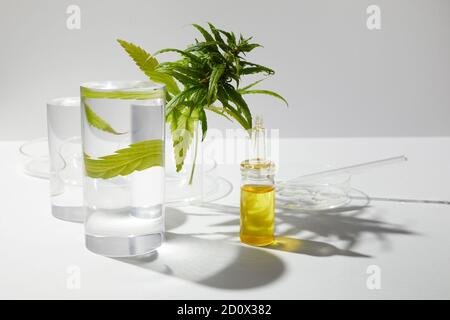 CBD htc Canabbis Öl im Labor. Konzept der Medizin. Stockfoto