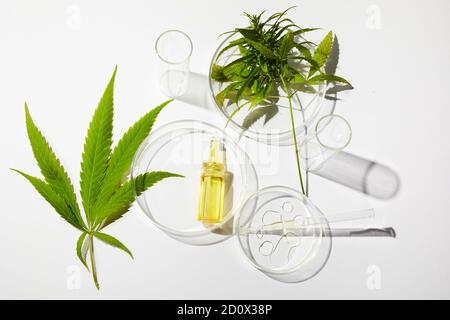 CBD htc Canabbis Öl im Labor. Konzept der Medizin. Stockfoto