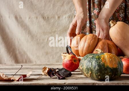 Schönes rustikales Stillleben mit Kürbis auf Holzhintergrund für dekorative Gestaltung. Danksagungskarte. Ernten Sie gesunde Lebensmittel. Stockfoto
