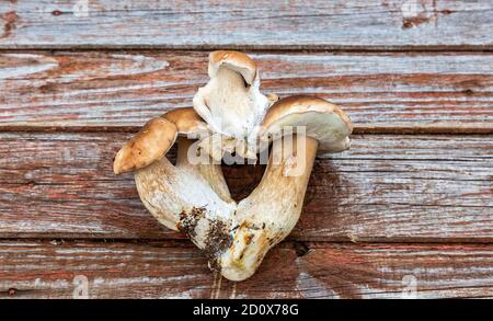 Steinpilze auf einem Holztisch aus der Nähe Stockfoto