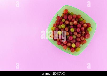 Reife Stachelbeeren in einem grünen Platte auf eine leichte Multi-farbigen Hintergrund. Stockfoto