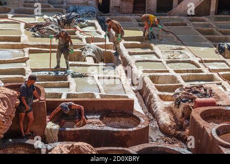 Lederarbeiter, die in der Chouara Tannery sterben eine der drei Gerbereien in der Stadt Fez, Marokko. Stockfoto