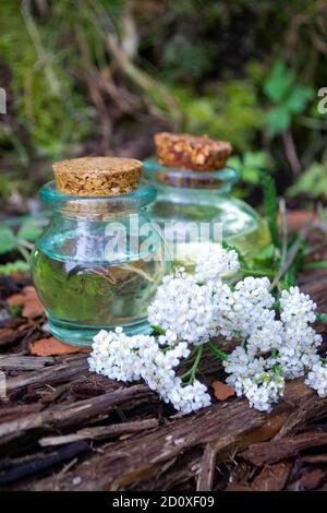 Tinktur der Schafgarbe in der Flasche Nahaufnahme auf einem Hintergrund Von Blumen Stockfoto