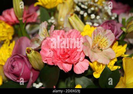 Sommerstrauß von Rosen, Nelken, Babys Atem, Lilien Stockfoto