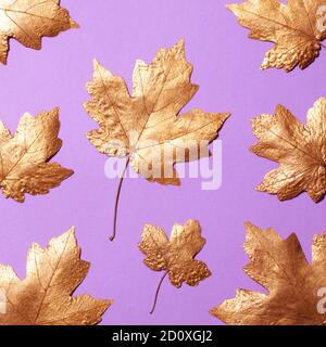 Maple Leaves Gold Farbe auf einem violetten Hintergrund um den Platz für die Beschriftung. Stockfoto