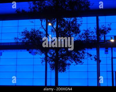 Tree Silhouette in Blue mit James Turrell Night Life 2018 Queensland Gallery of Modern Art, Brisbane, Australien Stockfoto