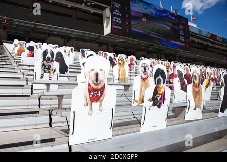 Alumni-Stadion. Oktober 2020. MA, USA; EINE allgemeine Ansicht der Kartonausschnitte in den Ständen vor dem NCAA Fußballspiel zwischen North Carolina Tar Heels und Boston College Eagles im Alumni Stadium. Anthony Nesmith/CSM/Alamy Live News Stockfoto