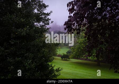 Edinburghs Altstadt unter dem Nebel zwischen den Bäumen der Princess Gardens, Schottland Stockfoto