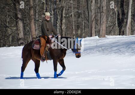 Frau Cowgirl in Cowboyhut auf ihrem Quarterpferd im Winter, Maine, USA Stockfoto