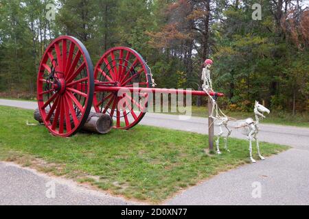 Halloween Dekorationen feiern das Erntefest im Hartwick Pines State Park in Michigan. Stockfoto