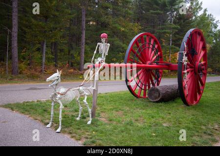 Halloween Dekorationen feiern das Erntefest im Hartwick Pines State Park in Michigan. Stockfoto