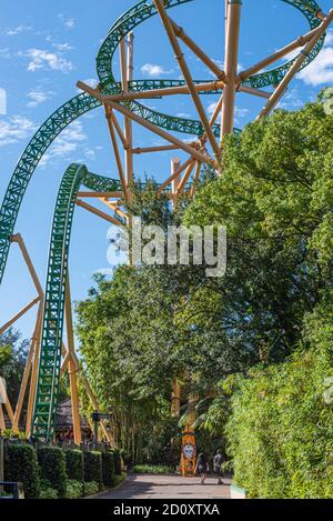 Die Cheetah Hunt extreme Achterbahn ragt über einem nicht überlaufenen Gehweg durch Tampa Busch Gardens kurz nach der Eröffnung im Florida Themenpark. Stockfoto