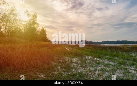 Überschwemmten hohen Grasweg am Teichrand mit Bäumen und Himmel. Tschechische Landschaft Stockfoto