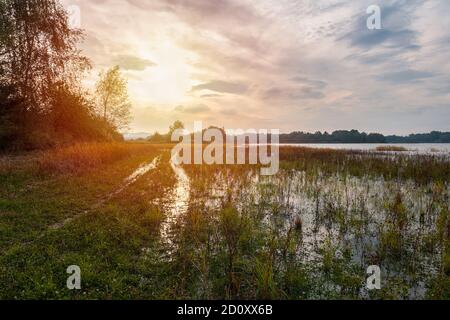 Überschwemmten hohen Grasweg am Teichrand mit Bäumen und Himmel. Tschechische Landschaft Stockfoto