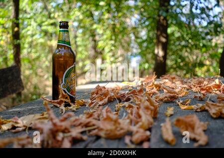 Belgrad / Serbien - 13. September 2020: Eine Flasche montenegrinisches Niksic Bier auf einem Tisch im Park mit Herbstblättern Stockfoto