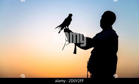 Dubai, VAE - Juni 2013: Falcon Trainer Silhouette in der Wüste mit Sonnenuntergang Landschaft Stockfoto