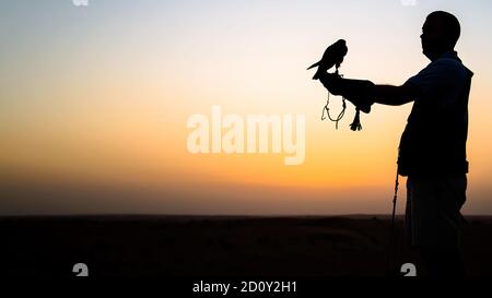 Dubai, VAE - Juni 2013: Falcon Trainer Silhouette in der Wüste mit Sonnenuntergang Landschaft Stockfoto