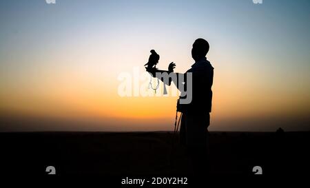 Dubai, VAE - Juni 2013: Falcon Trainer Silhouette in der Wüste mit Sonnenuntergang Landschaft Stockfoto