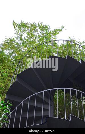 Perspektivische Ansicht einer Wendeltreppe aus Gusseisen. Vor dem Hintergrund hoher Bambuspflanzen. Stockfoto