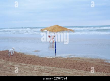 Frau spielt mit ihrem Hund am Strand an einem regnerischen Tag. Gandia, provinz valencia, Spanien. Stockfoto