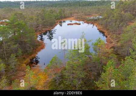 Luftaufnahme von Viru Raba, Lehemaa Nationalpark, Estland Stockfoto