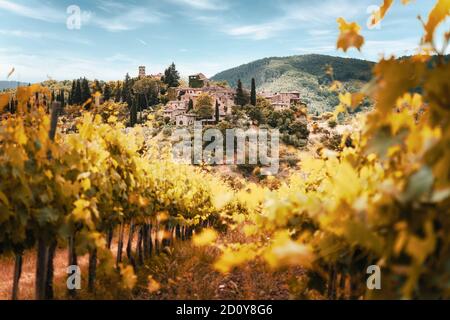 Toskana, Weinberge im Herbst. Italien Stockfoto