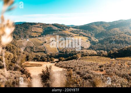 Toskana, Weinberge im Herbst. Italien Stockfoto