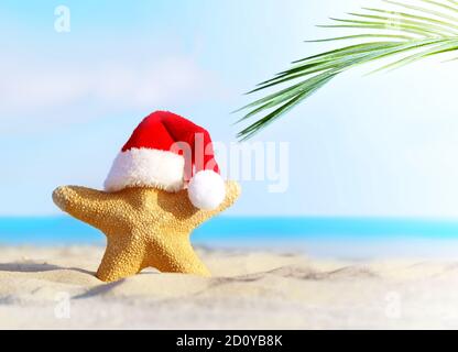 Sommerstrand. Frohe Weihnachten. Seesterne im Weihnachtsmannhut Stockfoto
