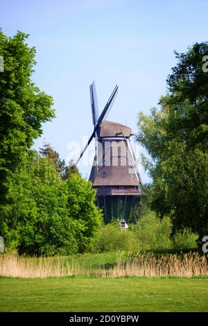 Windmühle auf dem Land, Wiese und Bäume, Internationales Wind- und Wassermühlenmuseum, Gifhorn, Deutschland Stockfoto