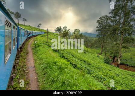 Die Ella nach Kandy Diesel zug Lokomotive Winde durch die Teeplantagen in der Nähe von Nuwara Eliya, Sri Lanka. Stockfoto