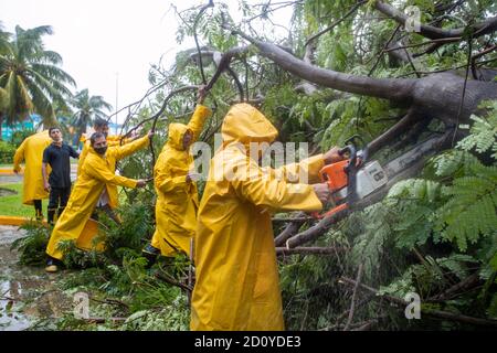 Mexiko-Stadt, Mexiko. Oktober 2020. CANCUN, MEXIKO - 3. OKTOBER: Katastrophenschutzarbeiter entfernen einen umgestürzten Baum aufgrund des Tropensturms Gamma, der in Tulum landtete, der mehrere Schäden durch anhaltende Regenfälle und Überschwemmungen in verschiedenen Teilen von Quintana Roo verursachte. Red Alert wurde in mehreren Gemeinden der mexikanischen Karibik erklärt, so dass die Behörden Unterkünfte für Menschen in gefährdeten Situationen ermöglichten. Am 3. Oktober 2020 in Cancun, Mexiko Credit: The Photo Access/Alamy Live News Stockfoto