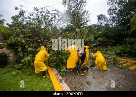 Mexiko-Stadt, Mexiko. Oktober 2020. CANCUN, MEXIKO - 3. OKTOBER: Katastrophenschutzarbeiter entfernen einen umgestürzten Baum aufgrund des Tropensturms Gamma, der in Tulum landtete, der mehrere Schäden durch anhaltende Regenfälle und Überschwemmungen in verschiedenen Teilen von Quintana Roo verursachte. Red Alert wurde in mehreren Gemeinden der mexikanischen Karibik erklärt, so dass die Behörden Unterkünfte für Menschen in gefährdeten Situationen ermöglichten. Am 3. Oktober 2020 in Cancun, Mexiko Credit: The Photo Access/Alamy Live News Stockfoto