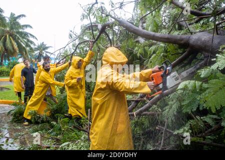 Mexiko-Stadt, Mexiko. Oktober 2020. CANCUN, MEXIKO - 3. OKTOBER: Katastrophenschutzarbeiter entfernen einen umgestürzten Baum aufgrund des Tropensturms Gamma, der in Tulum landtete, der mehrere Schäden durch anhaltende Regenfälle und Überschwemmungen in verschiedenen Teilen von Quintana Roo verursachte. Red Alert wurde in mehreren Gemeinden der mexikanischen Karibik erklärt, so dass die Behörden Unterkünfte für Menschen in gefährdeten Situationen ermöglichten. Am 3. Oktober 2020 in Cancun, Mexiko Credit: The Photo Access/Alamy Live News Stockfoto