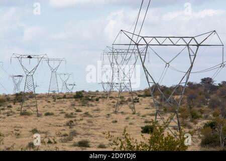 Stromleitungen - Reihen von Pylonen/Masten, die Hochspannungsleitungen über offene Buschveld in Südafrika transportieren. Braunes Veld und blauer Himmel. Stockfoto