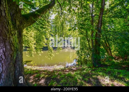 Romantischer Park in Arkadia Dorf, Polen. Stockfoto