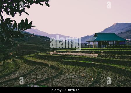 Geerntetes und terrassenförmiges Reisfeld in der Nähe von Sa Pa vietnam Stockfoto