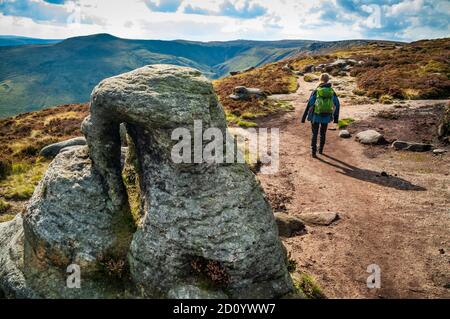 Dominika Wroblewska geht an einem großen windzerodierten Felsblock am Rande des beringten Roger-Ausbisses auf Kinder Scout vorbei. Stockfoto