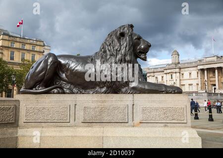 Einer von vier monumentalen Bronzelöwen, die jede Ecke des Trafalgar Square in London, England, bewachen. Stockfoto