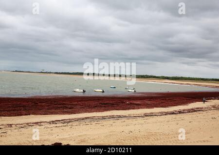 Saint Hilaire de Riez, Pays de la Loire, Vendee, Frankreich Stockfoto