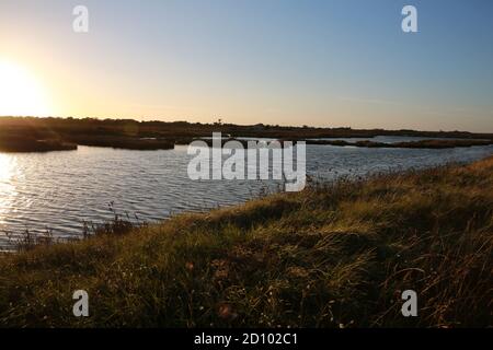 Réserve naturelle régionale du polder de Sébastopol, Noirmoutier, Vendee, Frankreich Stockfoto