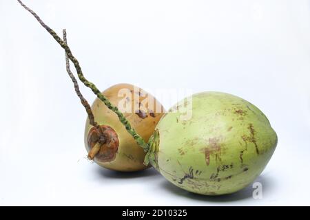 Grüne Kokosnuss mit schwarzen Flecken auf der Haut. Alte Kokosnuss isoliert auf weißem Hintergrund. Zwei frische reife Kokosnüsse Stockfoto