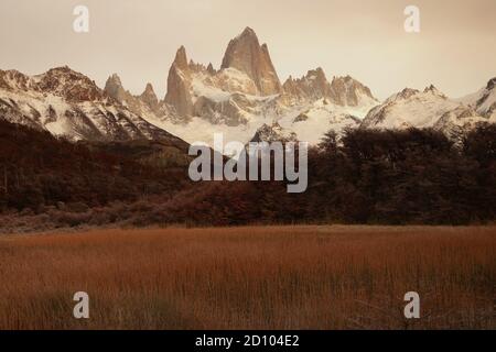 Langes Gras weht im Wind im Vordergrund mit Dahinter steht der riesige Mastif des Mt. Fitz Roy Stockfoto